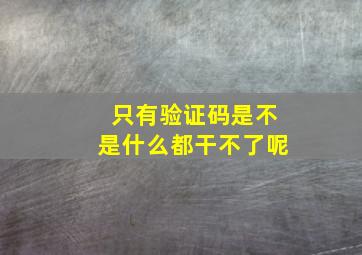 只有验证码是不是什么都干不了呢