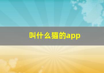 叫什么猫的app