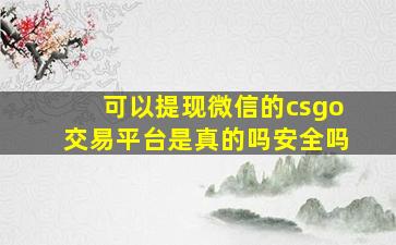 可以提现微信的csgo交易平台是真的吗安全吗