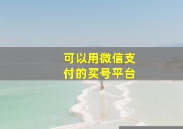 可以用微信支付的买号平台