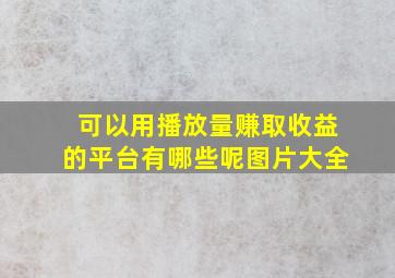 可以用播放量赚取收益的平台有哪些呢图片大全