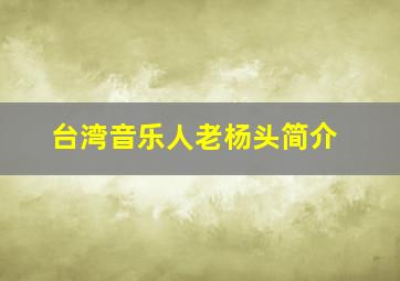 台湾音乐人老杨头简介