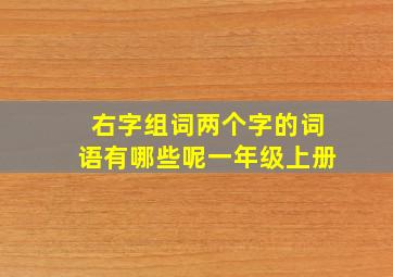 右字组词两个字的词语有哪些呢一年级上册