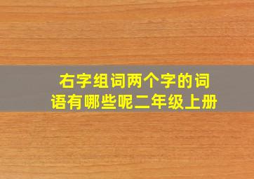 右字组词两个字的词语有哪些呢二年级上册