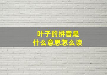 叶子的拼音是什么意思怎么读