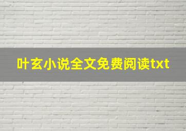 叶玄小说全文免费阅读txt