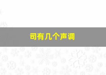 司有几个声调