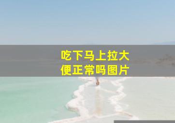 吃下马上拉大便正常吗图片