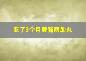 吃了3个月脾肾两助丸