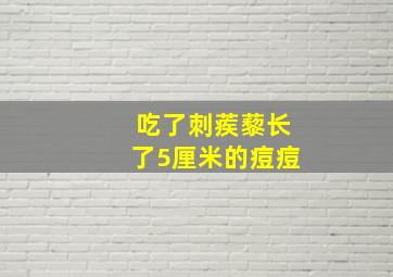 吃了刺蒺藜长了5厘米的痘痘