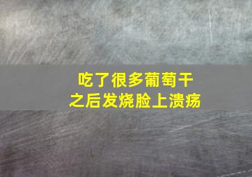 吃了很多葡萄干之后发烧脸上溃疡