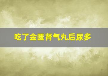 吃了金匮肾气丸后尿多