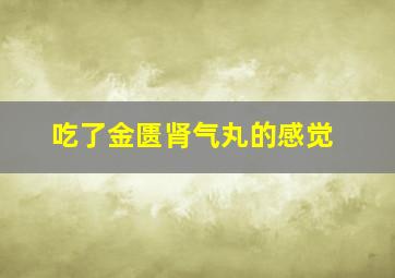 吃了金匮肾气丸的感觉