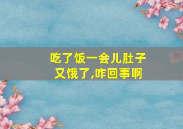 吃了饭一会儿肚子又饿了,咋回事啊