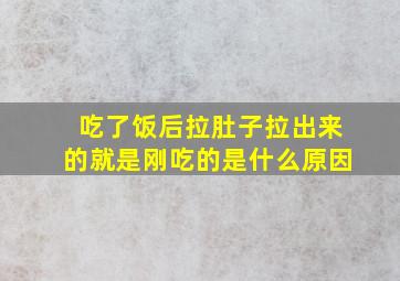 吃了饭后拉肚子拉出来的就是刚吃的是什么原因