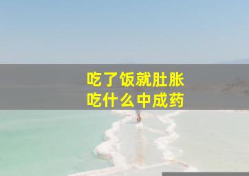 吃了饭就肚胀吃什么中成药