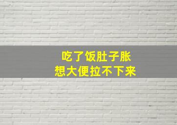 吃了饭肚子胀想大便拉不下来