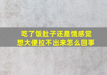 吃了饭肚子还是饿感觉想大便拉不出来怎么回事