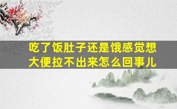 吃了饭肚子还是饿感觉想大便拉不出来怎么回事儿