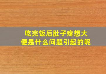 吃完饭后肚子疼想大便是什么问题引起的呢