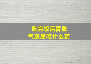 吃完饭后胃胀气放屁吃什么药