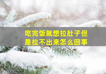 吃完饭就想拉肚子但是拉不出来怎么回事