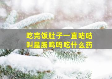 吃完饭肚子一直咕咕叫是肠鸣吗吃什么药