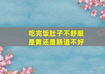 吃完饭肚子不舒服是胃还是肠道不好