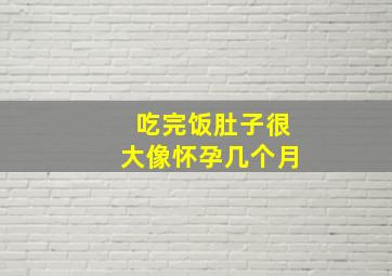 吃完饭肚子很大像怀孕几个月