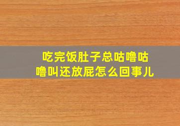 吃完饭肚子总咕噜咕噜叫还放屁怎么回事儿