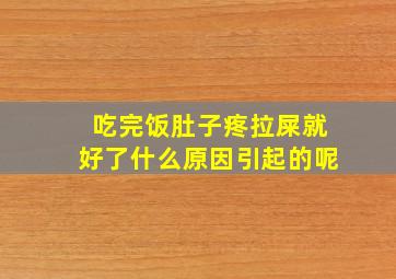 吃完饭肚子疼拉屎就好了什么原因引起的呢