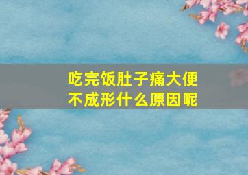 吃完饭肚子痛大便不成形什么原因呢