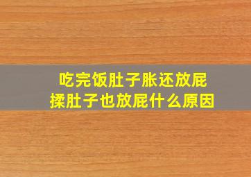 吃完饭肚子胀还放屁揉肚子也放屁什么原因