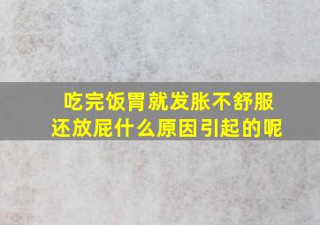 吃完饭胃就发胀不舒服还放屁什么原因引起的呢