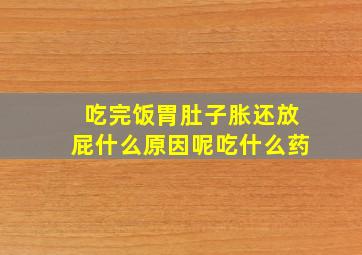 吃完饭胃肚子胀还放屁什么原因呢吃什么药