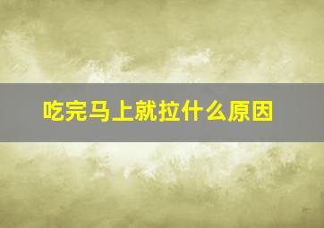 吃完马上就拉什么原因