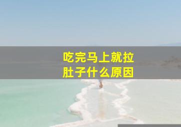 吃完马上就拉肚子什么原因