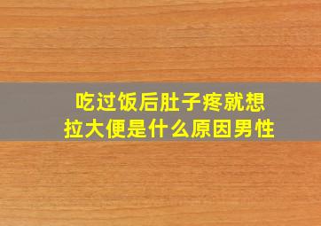 吃过饭后肚子疼就想拉大便是什么原因男性