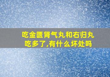 吃金匮肾气丸和右归丸吃多了,有什么坏处吗