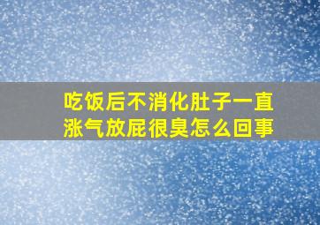 吃饭后不消化肚子一直涨气放屁很臭怎么回事