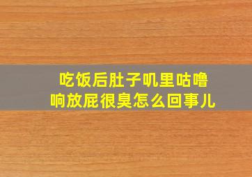 吃饭后肚子叽里咕噜响放屁很臭怎么回事儿