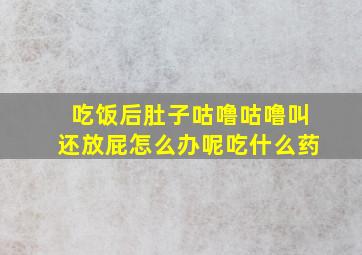 吃饭后肚子咕噜咕噜叫还放屁怎么办呢吃什么药