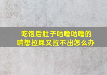 吃饱后肚子咕噜咕噜的响想拉屎又拉不出怎么办