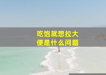 吃饱就想拉大便是什么问题