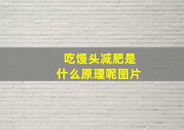 吃馒头减肥是什么原理呢图片