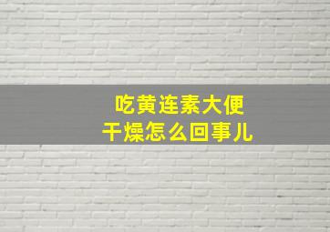 吃黄连素大便干燥怎么回事儿