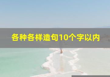 各种各样造句10个字以内