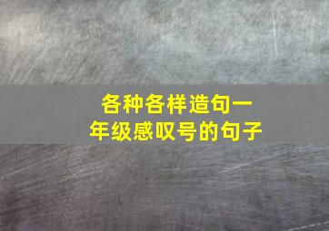 各种各样造句一年级感叹号的句子