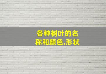 各种树叶的名称和颜色,形状