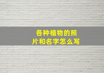 各种植物的照片和名字怎么写